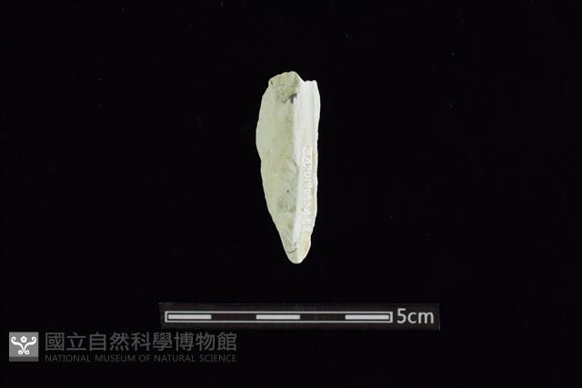 玉料藏品圖，第1張