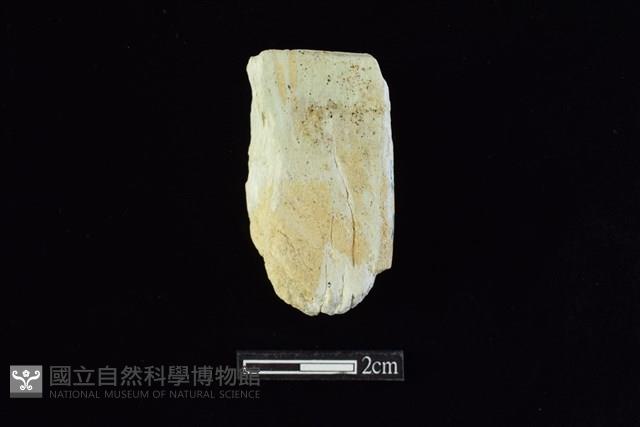 錛鑿形器藏品圖，第2張