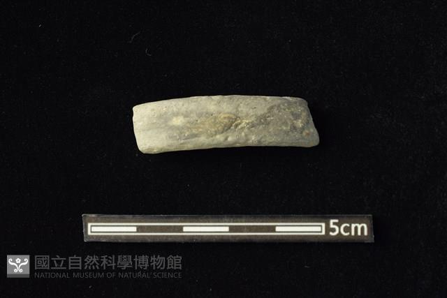 陶環藏品圖，第1張