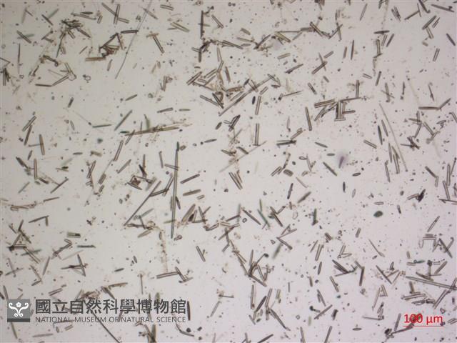 登錄號:A00004622藏品圖，第2張