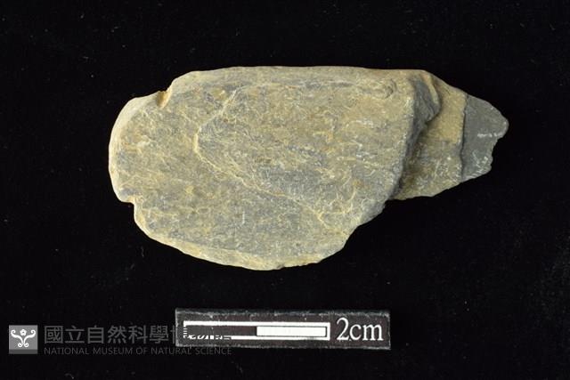 網墜藏品圖，第1張