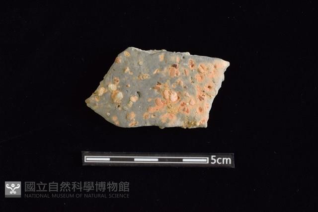 陶片藏品圖，第1張