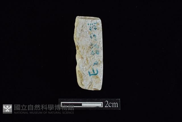 錛鑿形器藏品圖，第2張