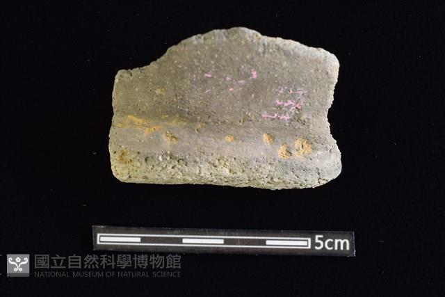 陶甕藏品圖，第1張