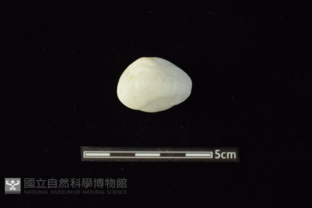 石材藏品圖，第1張