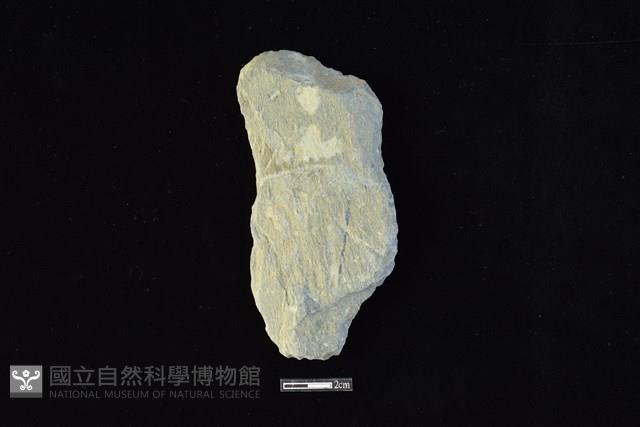 斧鋤形器藏品圖，第1張