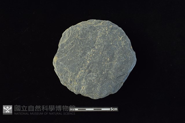 石圓片藏品圖，第1張