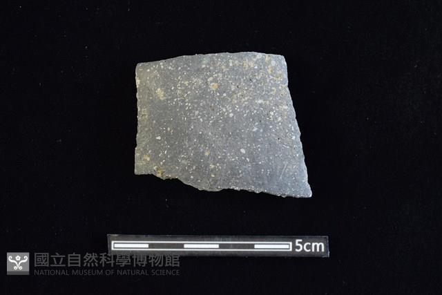 陶片藏品圖，第1張