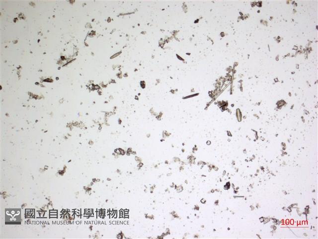 登錄號:A00004672藏品圖，第2張