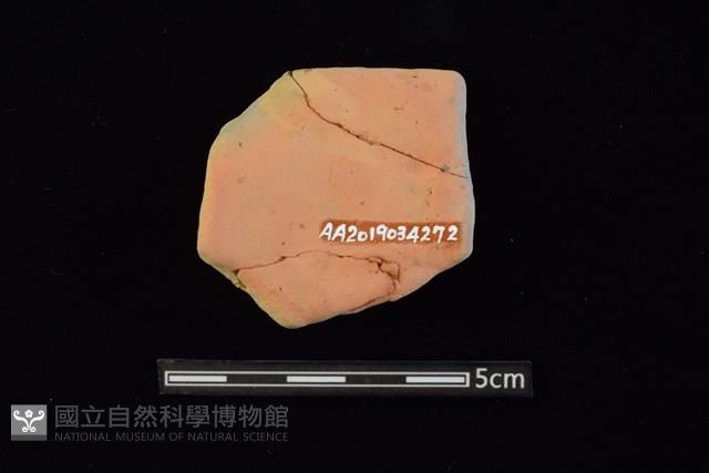 陶片藏品圖，第2張