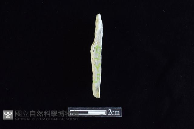 錛鑿形器藏品圖，第2張