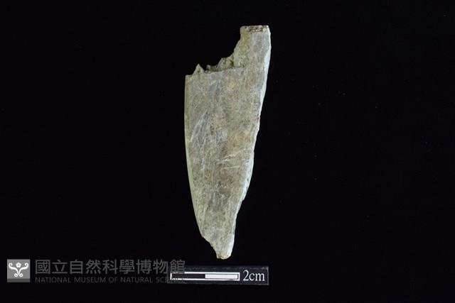 錛鑿形器藏品圖，第2張