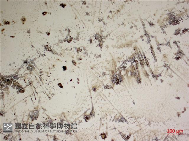 登錄號:A00004572藏品圖，第2張