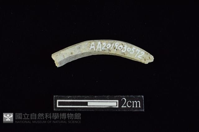 玉料藏品圖，第1張