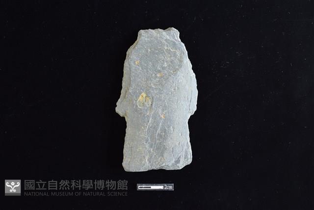 戈形器藏品圖，第1張