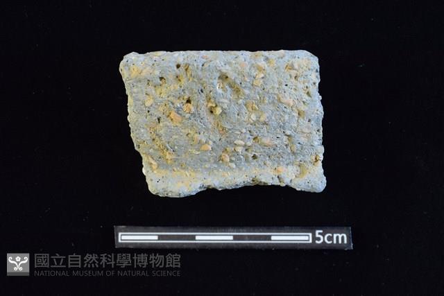 陶罐藏品圖，第1張