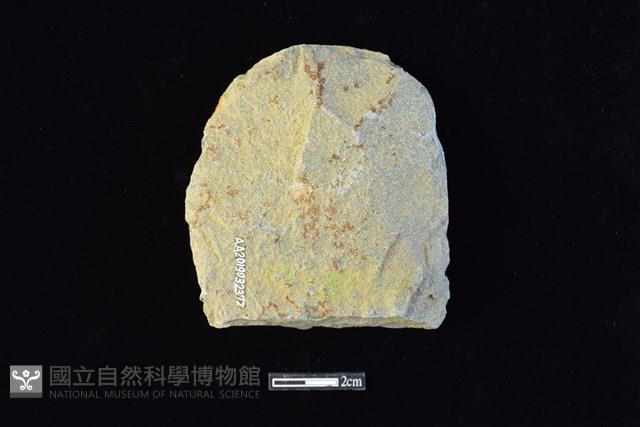 斧鋤形器藏品圖，第2張