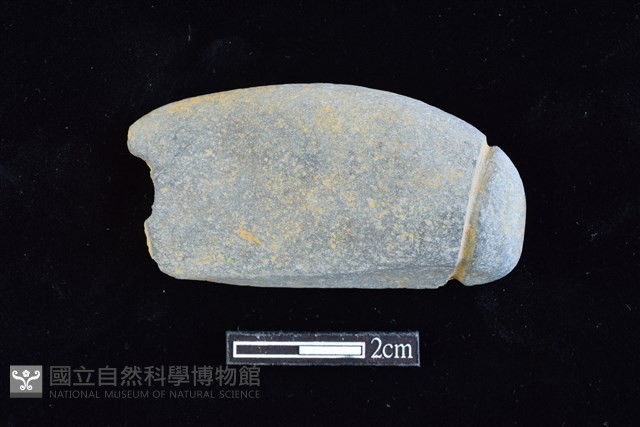 網墜藏品圖，第1張
