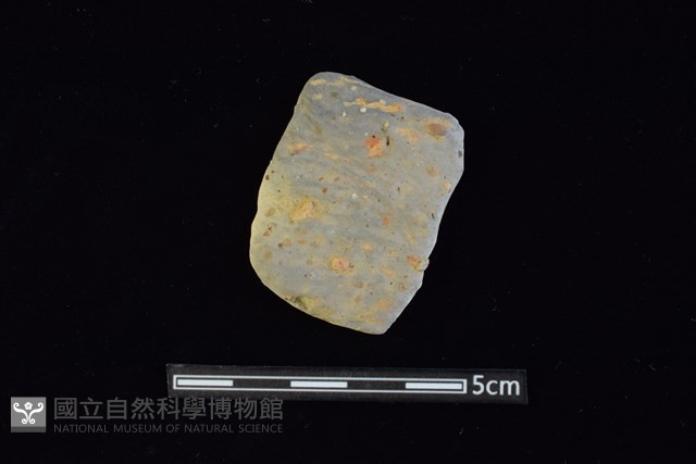 陶片藏品圖，第1張