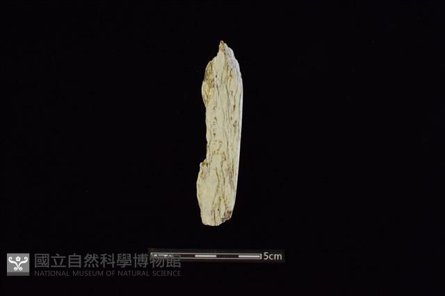錛鑿形器藏品圖，第2張
