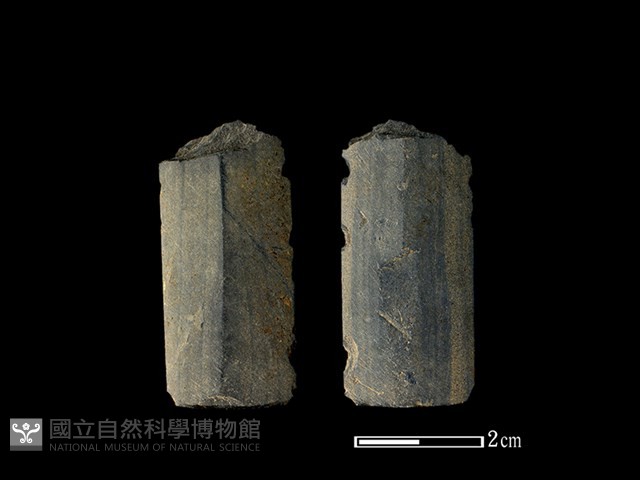 矛鏃形器藏品圖，第1張