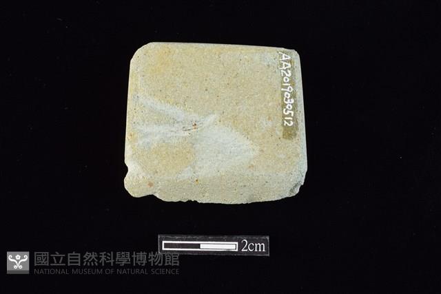 錛鑿形器藏品圖，第1張