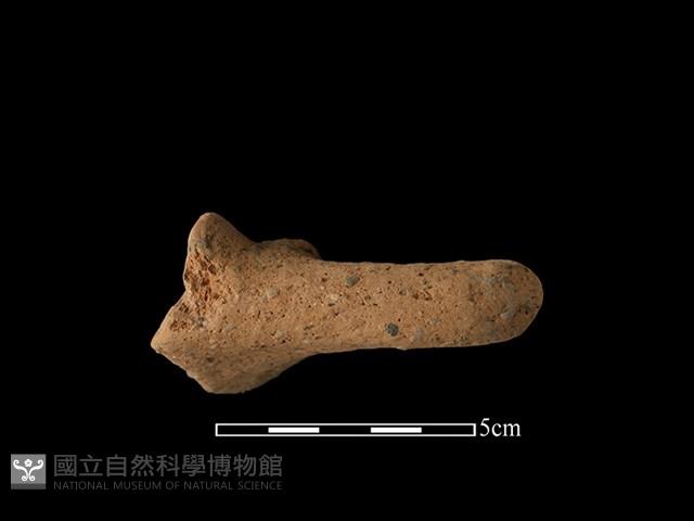 陶把藏品圖，第2張