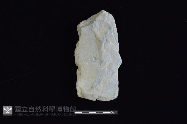 戈形器藏品圖，第1張