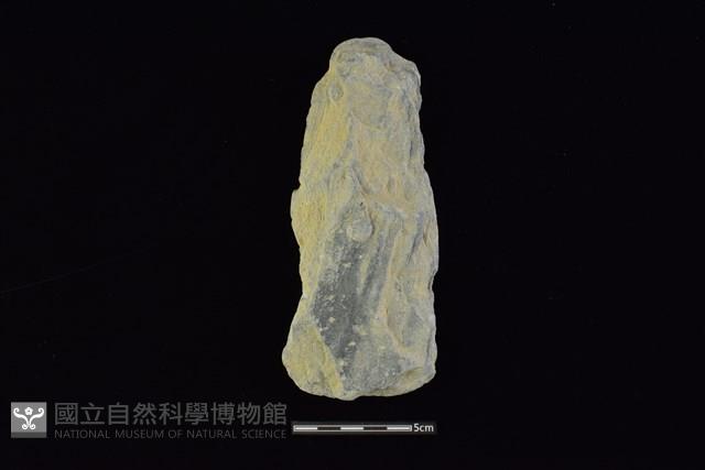 戈形器藏品圖，第1張