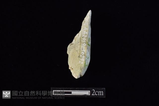 錛鑿形器藏品圖，第2張