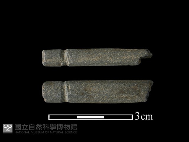 網墜藏品圖，第1張