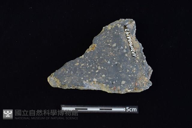 陶片藏品圖，第2張