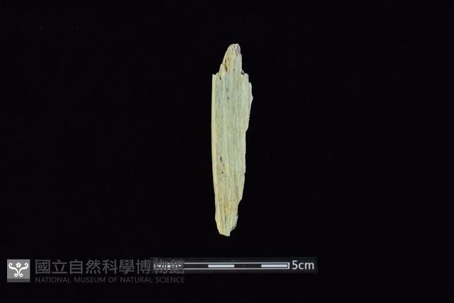 錛鑿形器藏品圖，第2張
