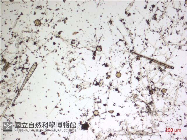 登錄號:A00004592藏品圖，第2張