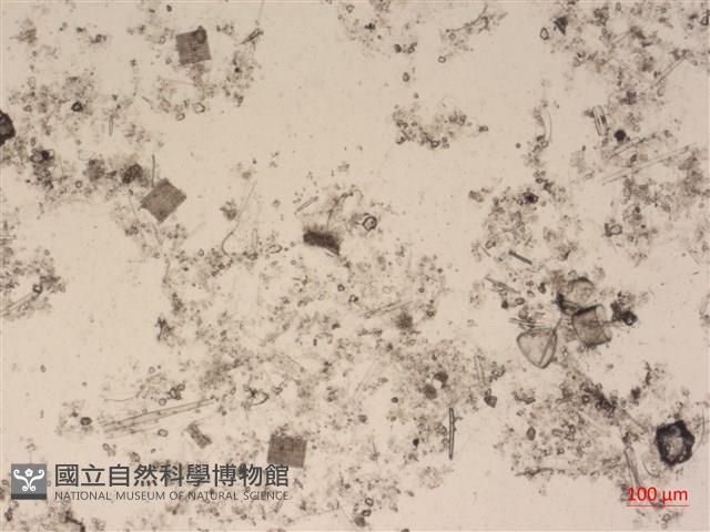 登錄號:A00004492藏品圖，第2張