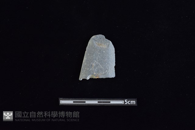 矛鏃形器藏品圖，第1張