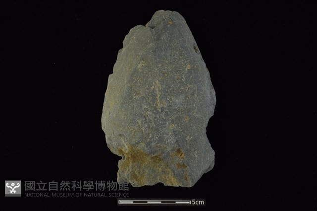 戈形器藏品圖，第1張