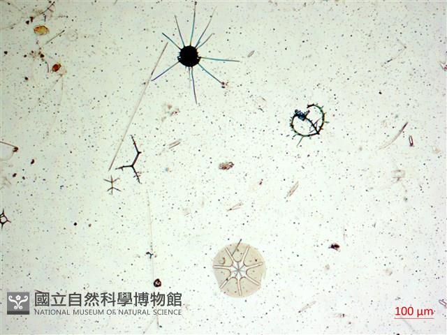館號:A00004642藏品圖，第2張