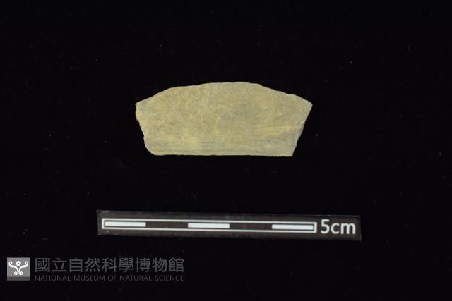 石材藏品圖，第1張