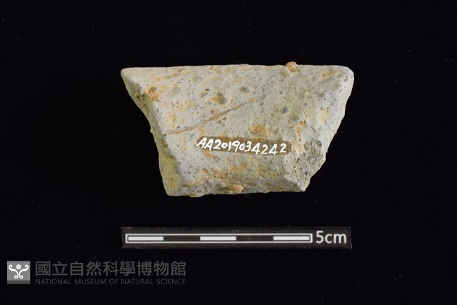 陶罐藏品圖，第2張