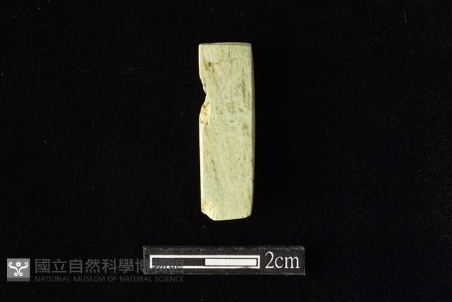 錛鑿形器藏品圖，第2張