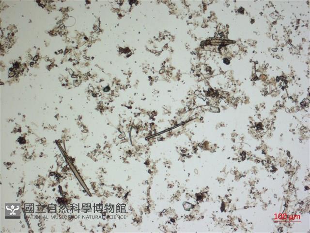 登錄號:A00004542藏品圖，第2張