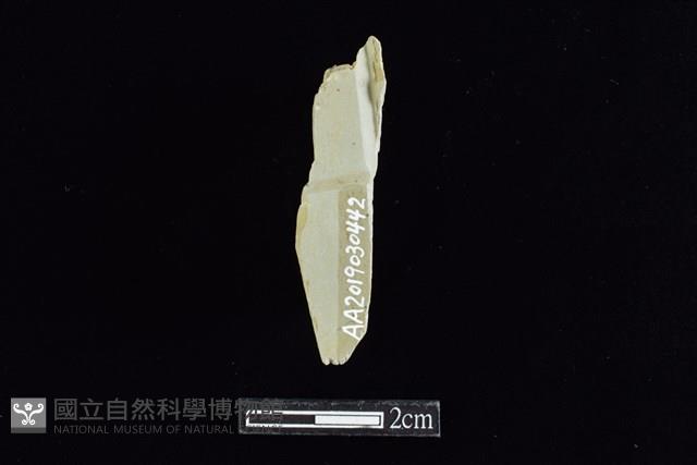 錛鑿形器藏品圖，第2張