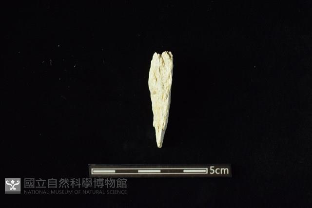 玉料藏品圖，第1張