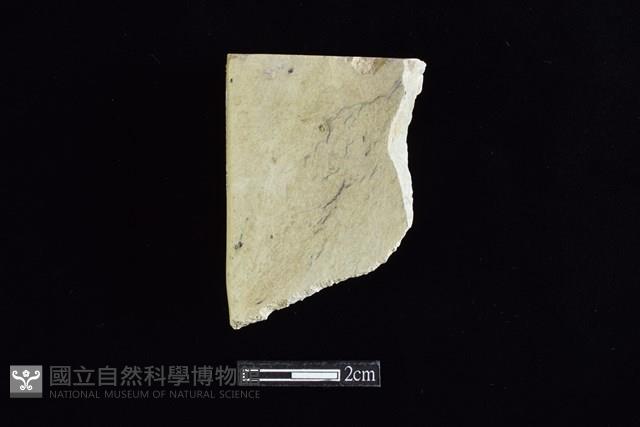 錛鑿形器藏品圖，第2張