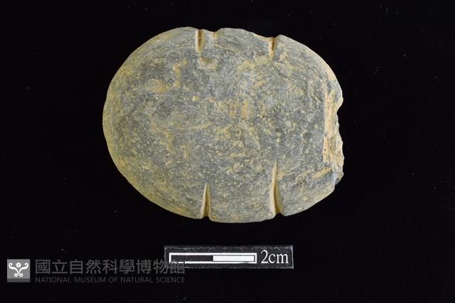 網墜藏品圖，第1張