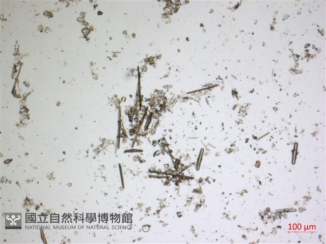 登錄號:A00004662藏品圖，第2張