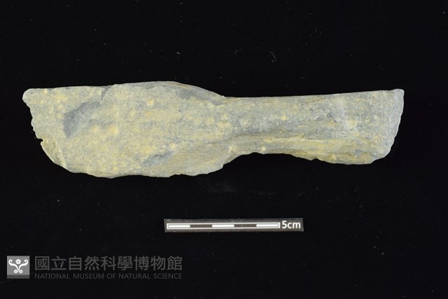 石鎚藏品圖，第1張