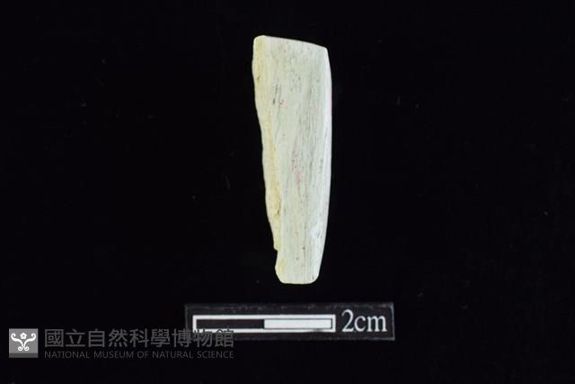 錛鑿形器藏品圖，第2張