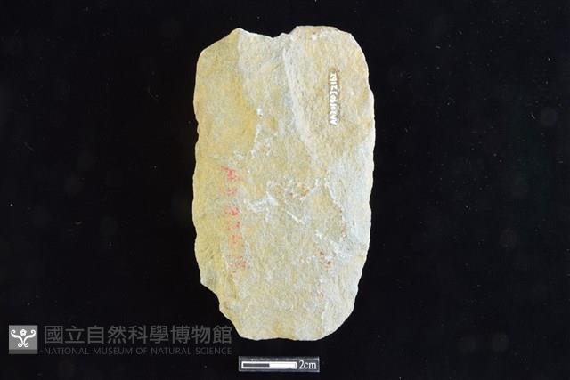 斧鋤形器藏品圖，第2張